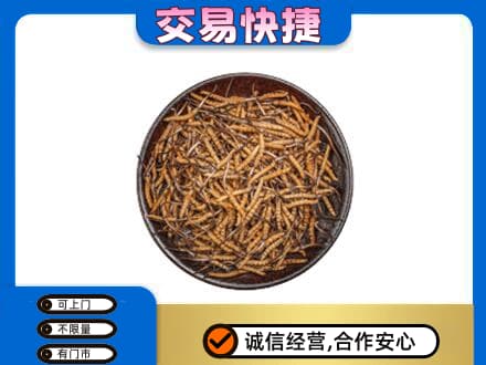 新余回收散虫草